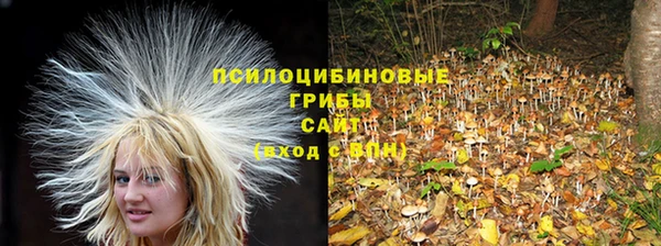 прущий лед Алексеевка