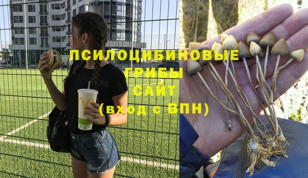 герыч Алексин