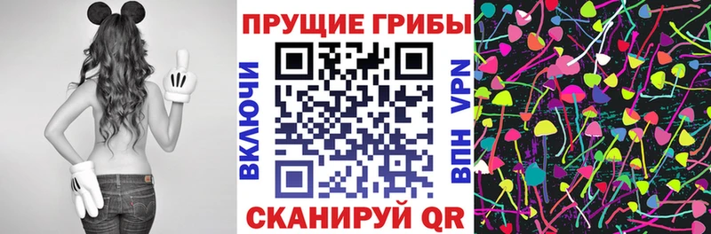 где купить   Ставрополь  кракен ТОР  Галлюциногенные грибы ЛСД 